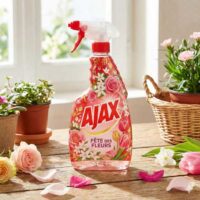 AJAX FETE DES FLEURS