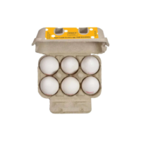 EGG 6 PACK