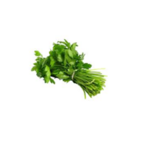 Fresh Coriander bunch