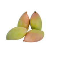 Green Mango Totapuri