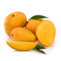 Mango E