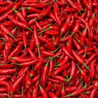 Red Chili