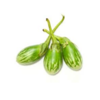 Thai Eggplant / Green Brinjal