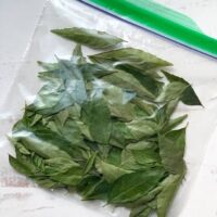 Curry leaves pack