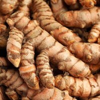 Yellow fresh haldi per 1Kg