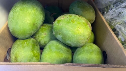 44726b67-862e-4c88-8c7e-8635aa3c311b