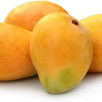 Alphonso / Hapus mangoes ( Gujarat, India) 12 pcs