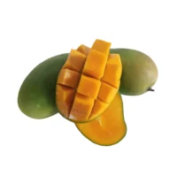 Badami mangoes ( Gujarat, India) 12 pcs