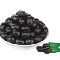 Vadilal Jamun 312gm