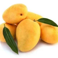 Kesar mango ( Gujarat , India ) 12 pcs