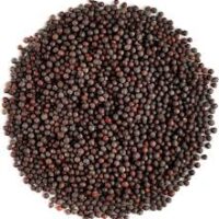 Mustard seeds (Black) 100gm