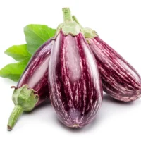 stripe eggplant