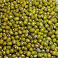 Green whole Moong 1 kg