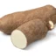 white yam-2-1674812560616