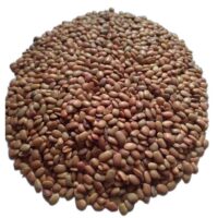 Adisha Horsegram / Kulthi Dal (500g)