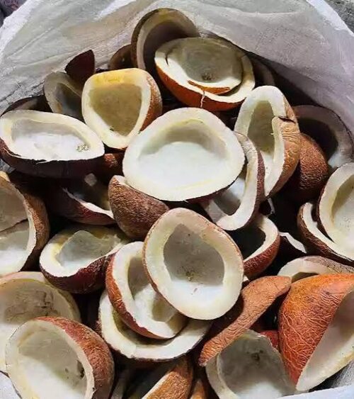 coconutr dry