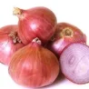 onion b2